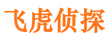 冷水江外遇出轨调查取证